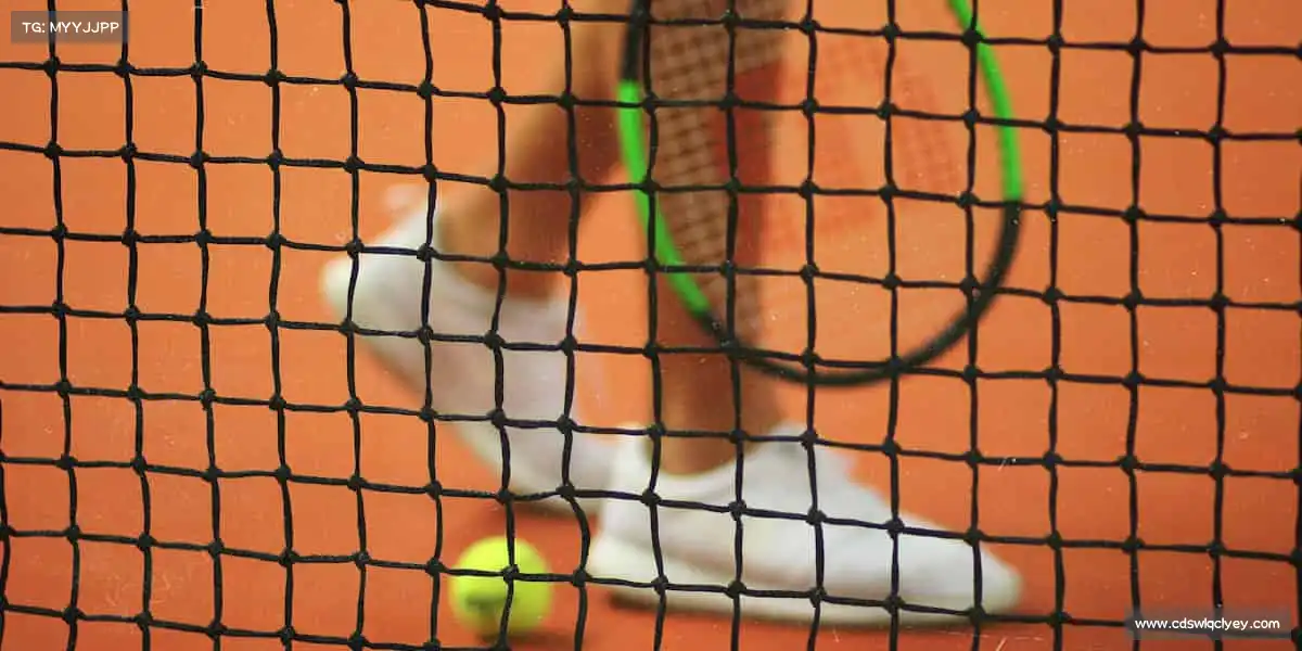 为什么选择我们